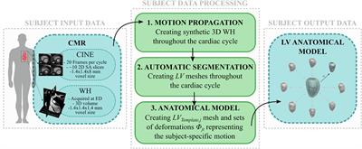 Investigating Cardiac <mark class="highlighted">Motion Patterns</mark> Using Synthetic High-Resolution 3D Cardiovascular Magnetic Resonance Images and Statistical Shape Analysis